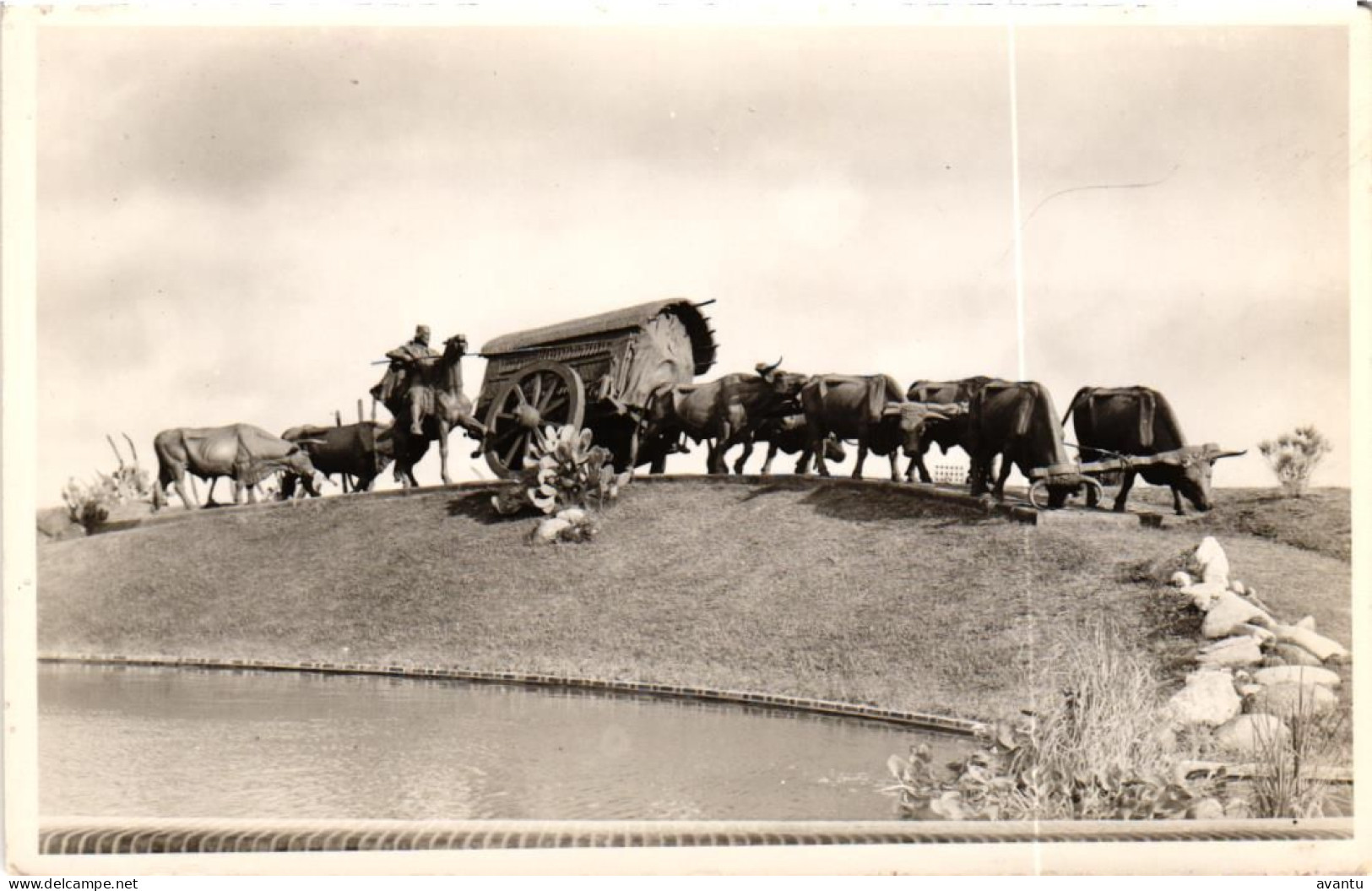 URUGUAY /  TRAVELLING WITH COWS AND WAGON - Uruguay