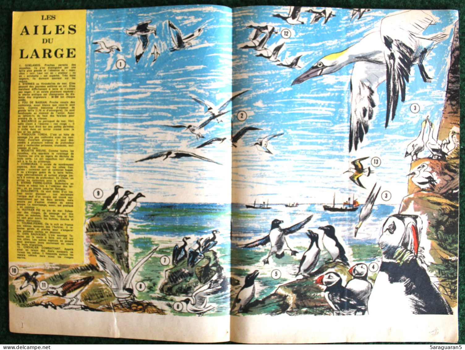 MAGAZINE FRANCS JEUX - 447 - Avril 1965 Avec Encart Double "Les Ailes Du Large" Et Fiches "enseignes" - Andere Tijdschriften