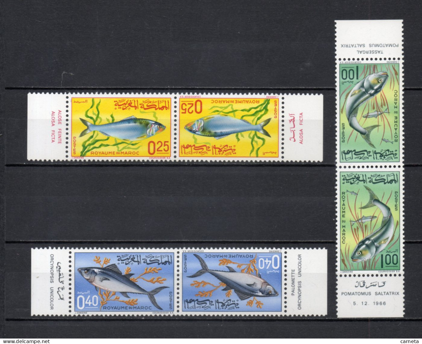 MAROC N°  514A à 516A     NEUFS SANS CHARNIERE  COTE 15.00€    POISSON ANIMAUX FAUNE - Marokko (1956-...)