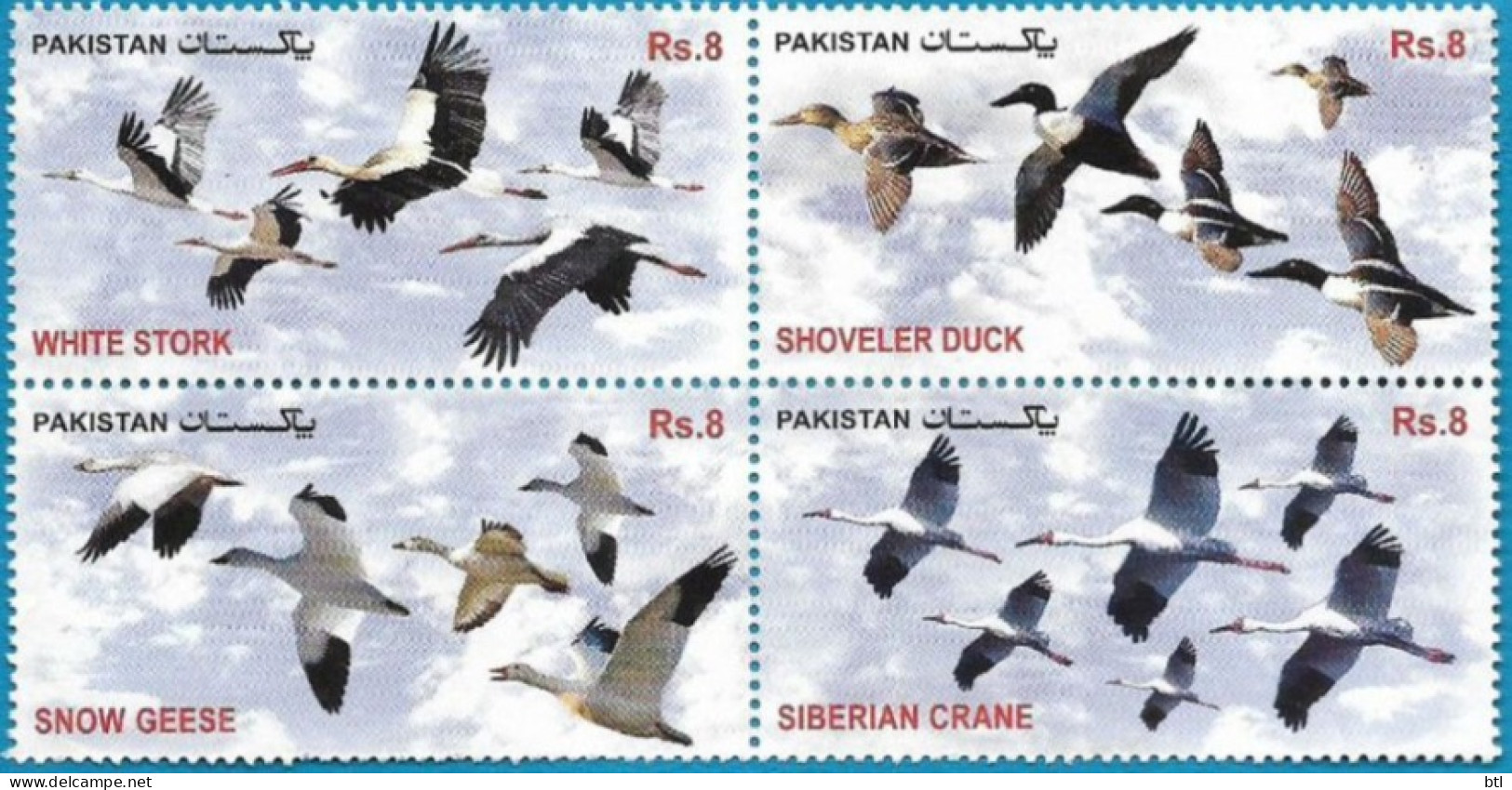 Pakistan : Migratory Birds Of Pakistan - Pakistan