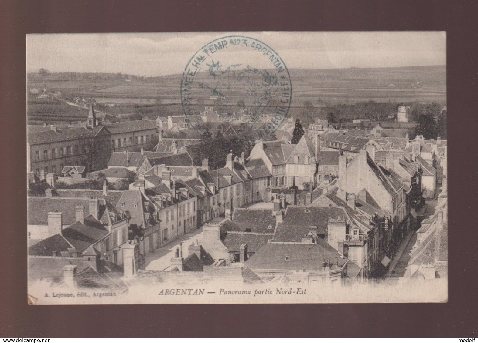 CPA - 61 - Argentan - Panorama Partie Nord-Est - Circulée En 1916 - Argentan