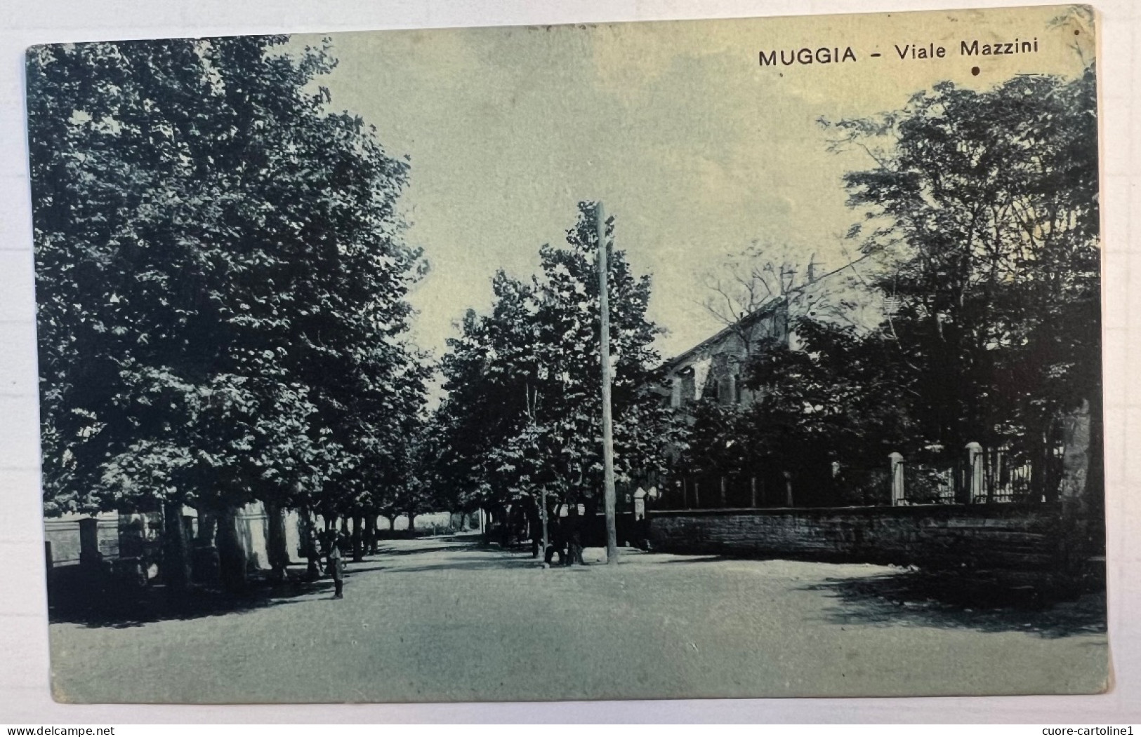 Istria - Muggia - Vg 1926. - Trieste