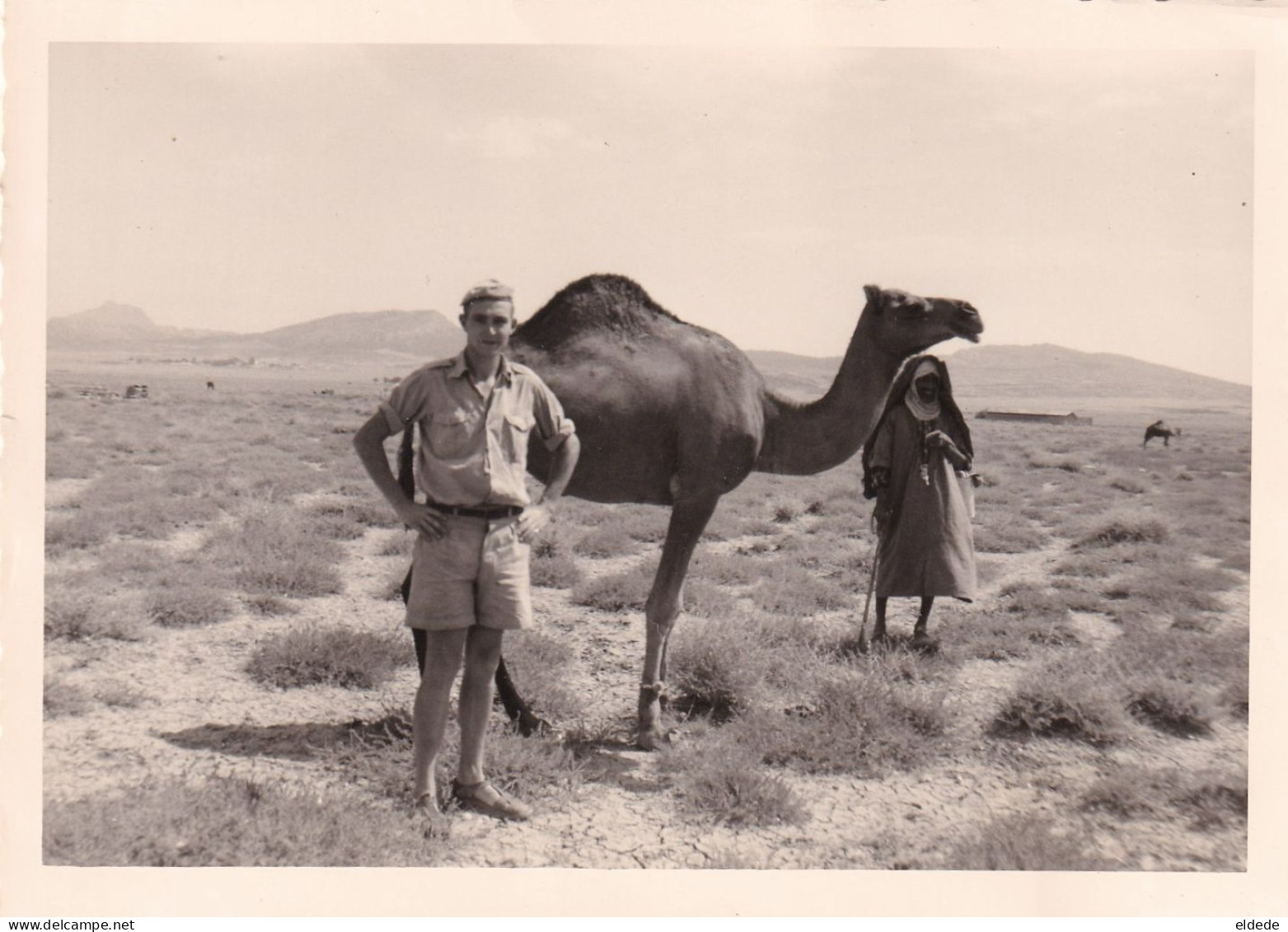 Photo Guerre Algerie Militaire Du 4 Eme R.C.C. Desert Dromadaire - Afrique