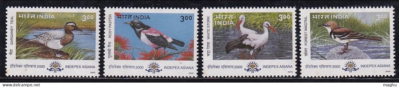 India MNH 2000, Set Of 4, Indepex Asiana, Migratory Birds, Bird, Stork. Wagtail, Rosy Pastor. Teal, As Scan - Sonstige & Ohne Zuordnung
