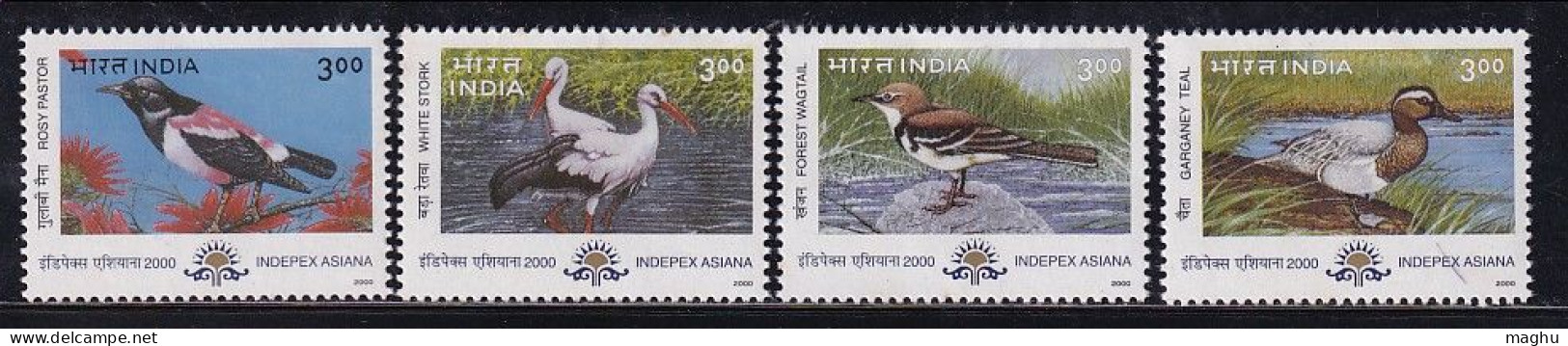 India MNH 2000, Set Of 4, Indepex Asiana, Migratory Birds, Bird, Stork. Wagtail, Rosy Pastor. Teal, As Scan - Andere & Zonder Classificatie