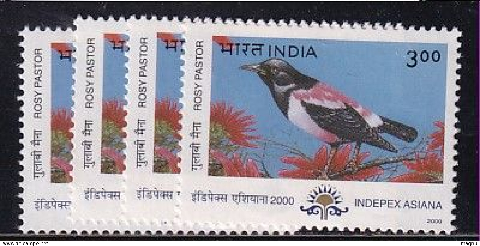 Lot Of 4, India MNH 2000, , Indepex Asiana, Migratory Birds, Bird,  Rosy Pastor - Other & Unclassified