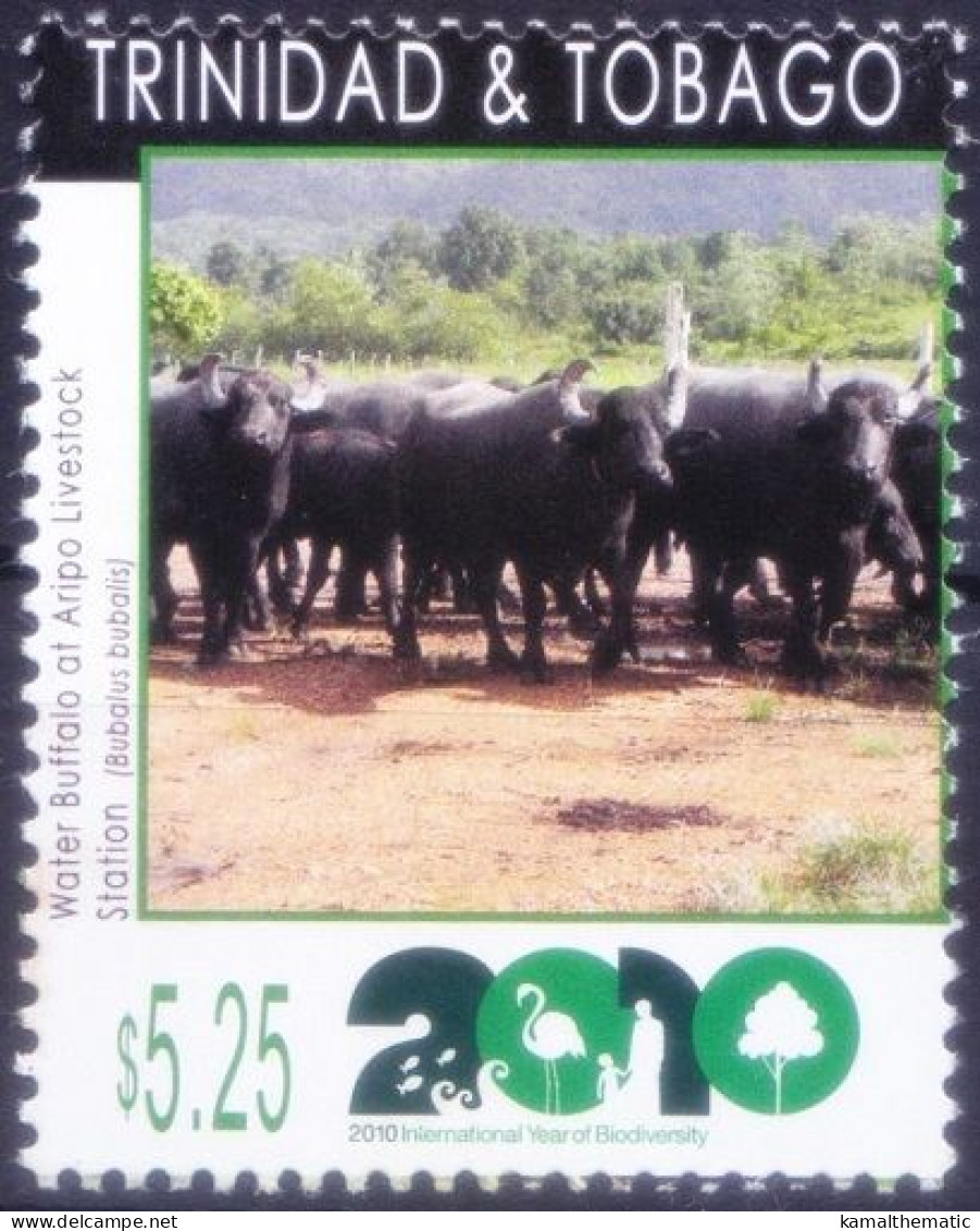 Trinidad & Tobago 2010 MNH, Biodiversity, Water Buffalo At Aripo, Domestic Animals, Environment - Environment & Climate Protection