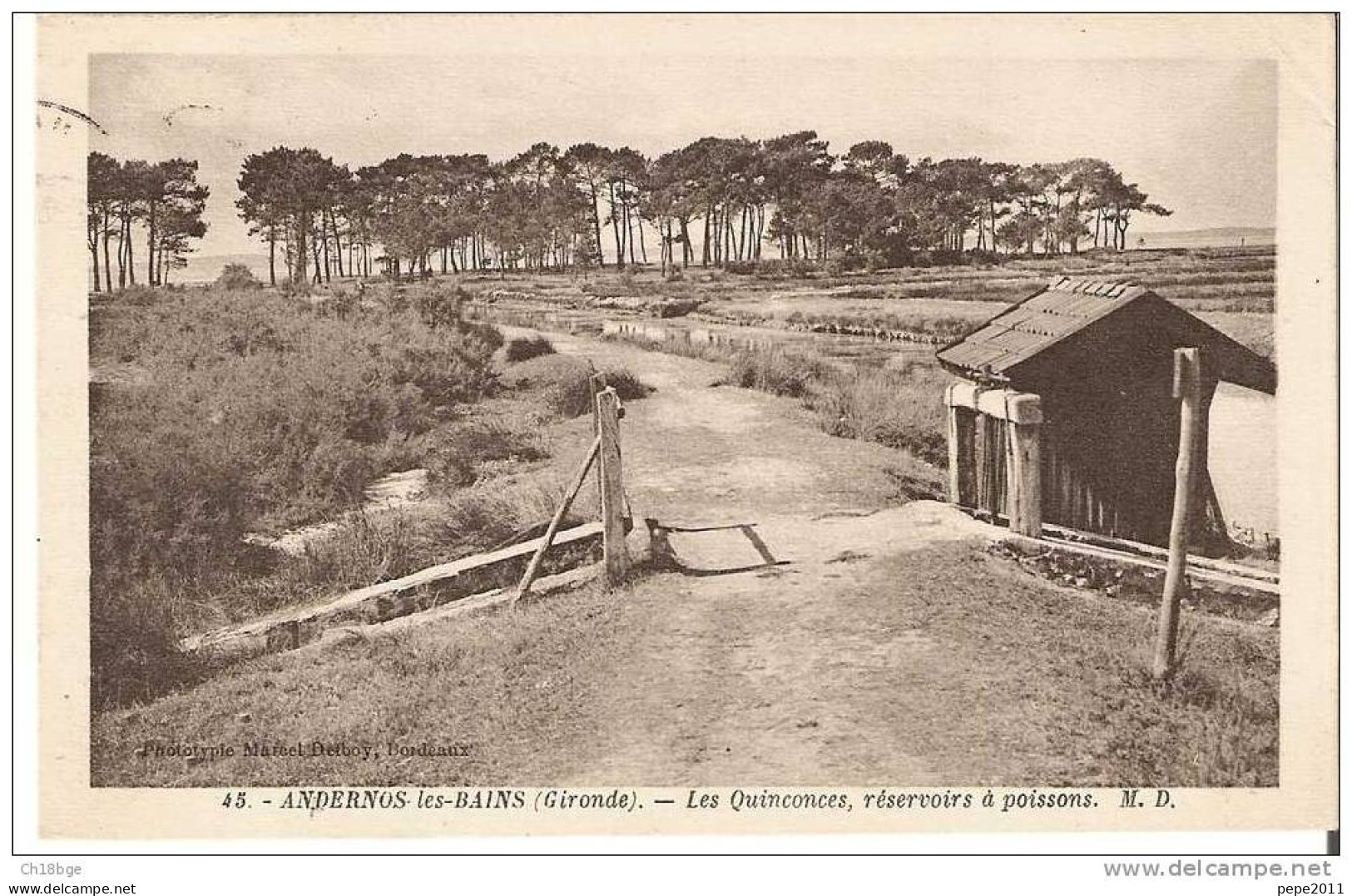 Gironde 33 - CPA ANDERNOS Les BAINS - Les Quinconces, Réservoirs à Poissons - Andernos-les-Bains