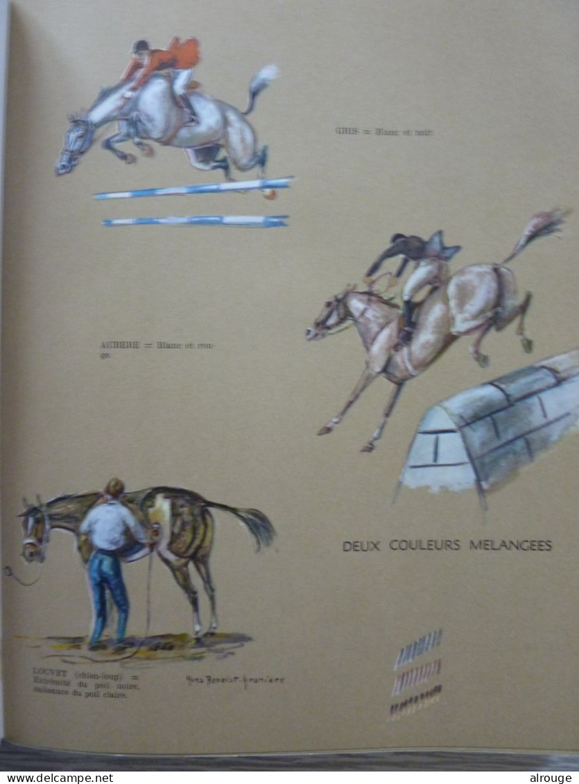 À Chaval Ma Mie, 400 Croquis Légendés Sur La Pratique De L'équitation Par Yves Benoist-Gironière, édité En 1968 - Dieren