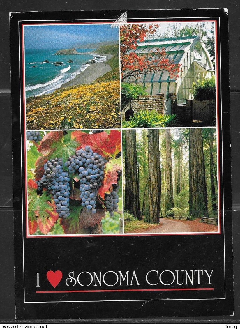 California, Sonoma County, Wine, Redwoods, Used 1994 - Andere & Zonder Classificatie