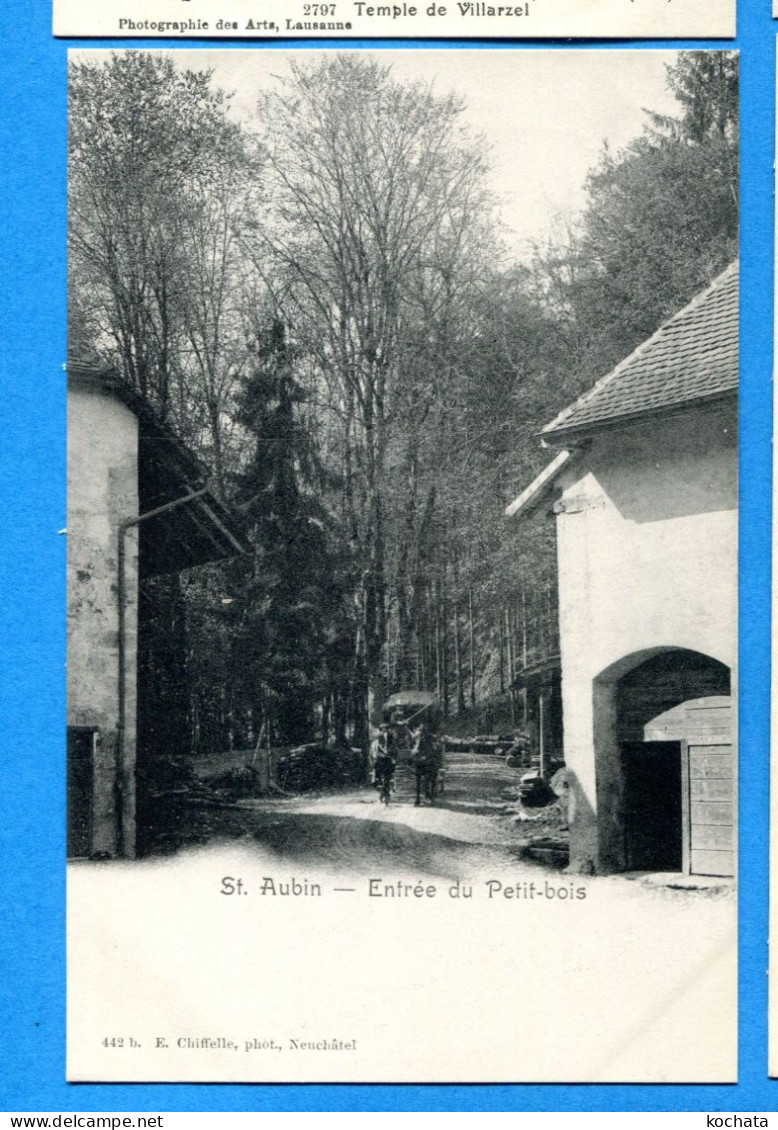 VIX101, St. Aubin, Animée, Entrés Du Petit-bois, Calèche, 442, Précurseur, Non Circulée - Saint-Aubin/Sauges