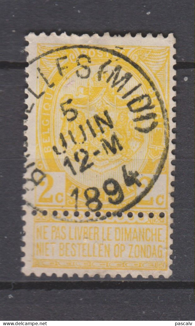 COB 54 Oblitération Centrale BRUXELLES (MIDI) - 1893-1907 Stemmi