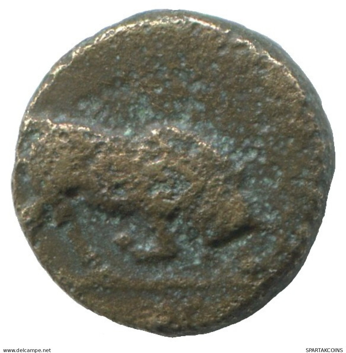 BULL Antiguo GRIEGO ANTIGUO Moneda 2.1g/12mm #SAV1197.11.E.A - Grecques
