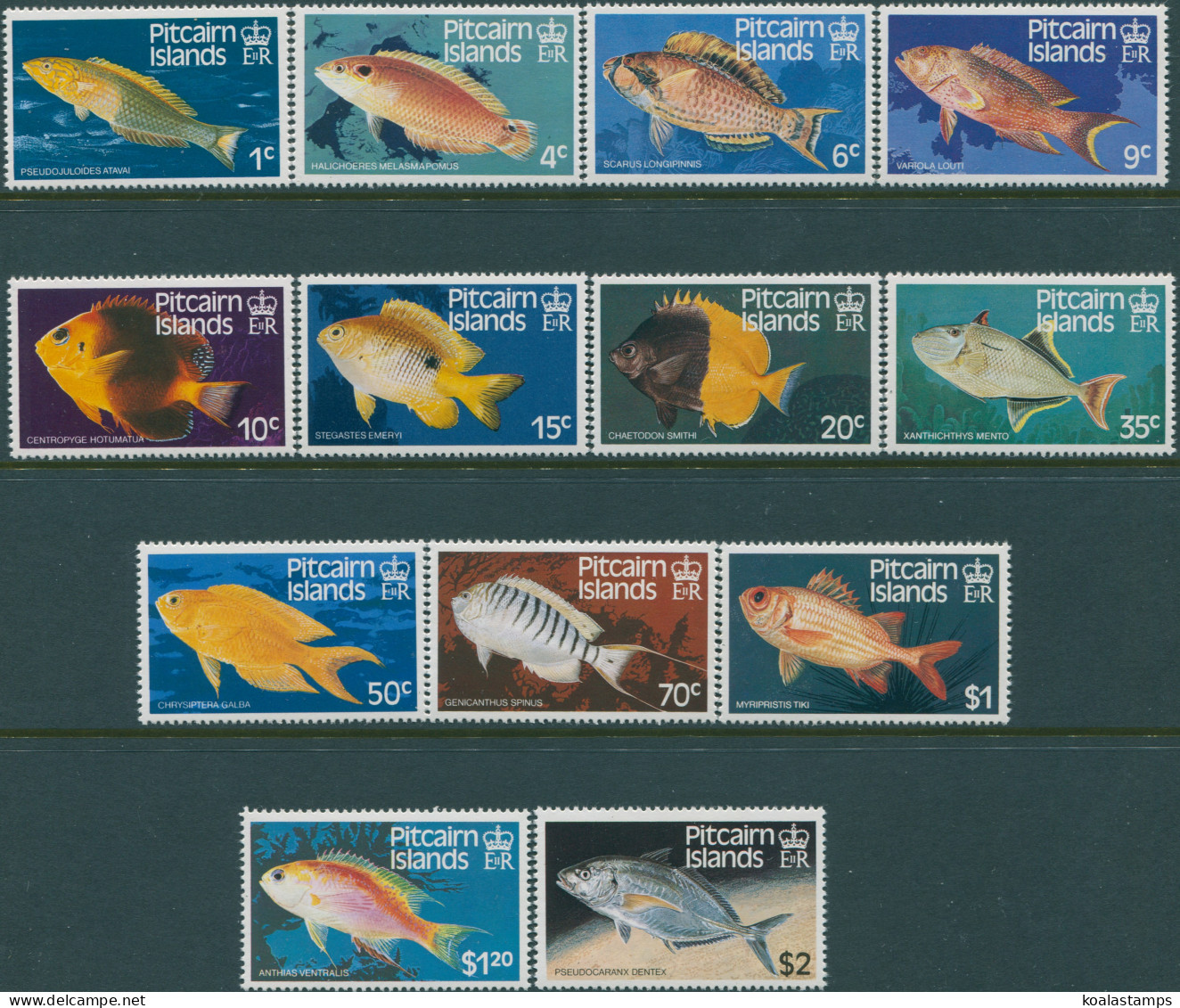 Pitcairn Islands 1984 SG246-258 Fish Set MNH - Islas De Pitcairn