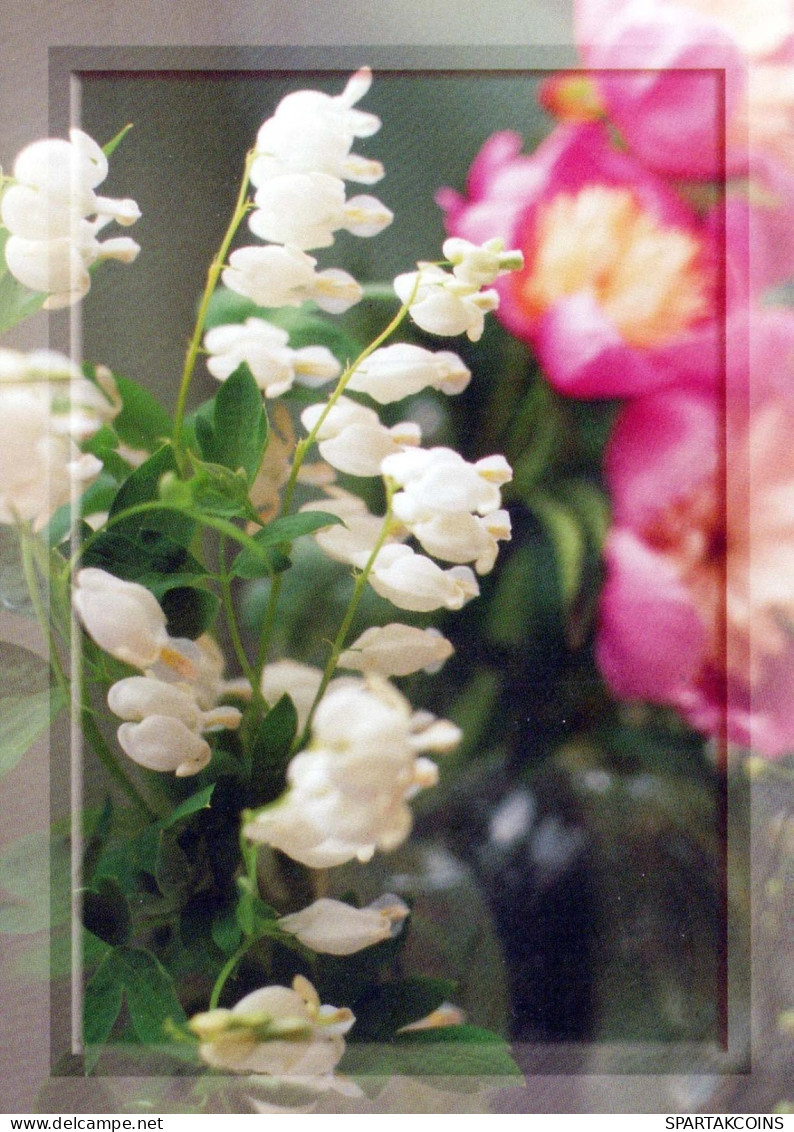 FLOWERS Vintage Postcard CPSM #PAR568.A - Fleurs