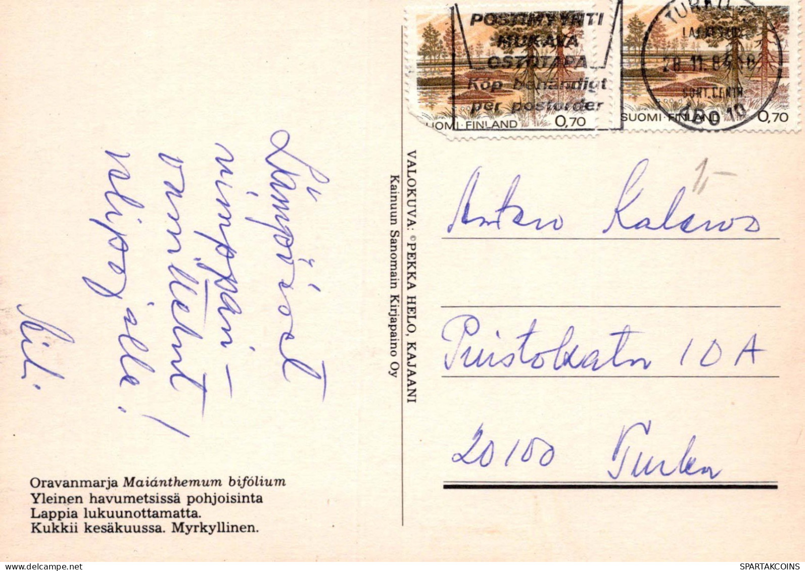 FLORES Vintage Tarjeta Postal CPSM #PAR539.A - Fleurs