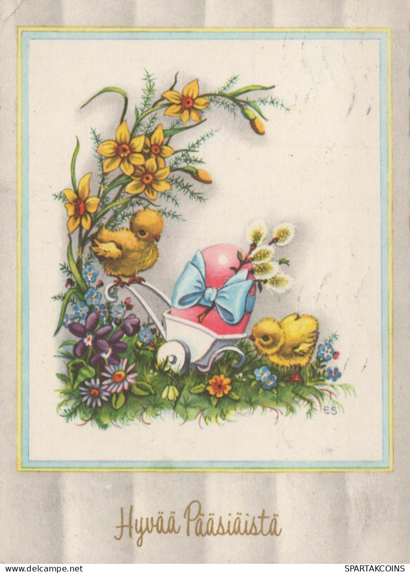 PASQUA POLLO UOVO Vintage Cartolina CPSM #PBO703.A - Pascua