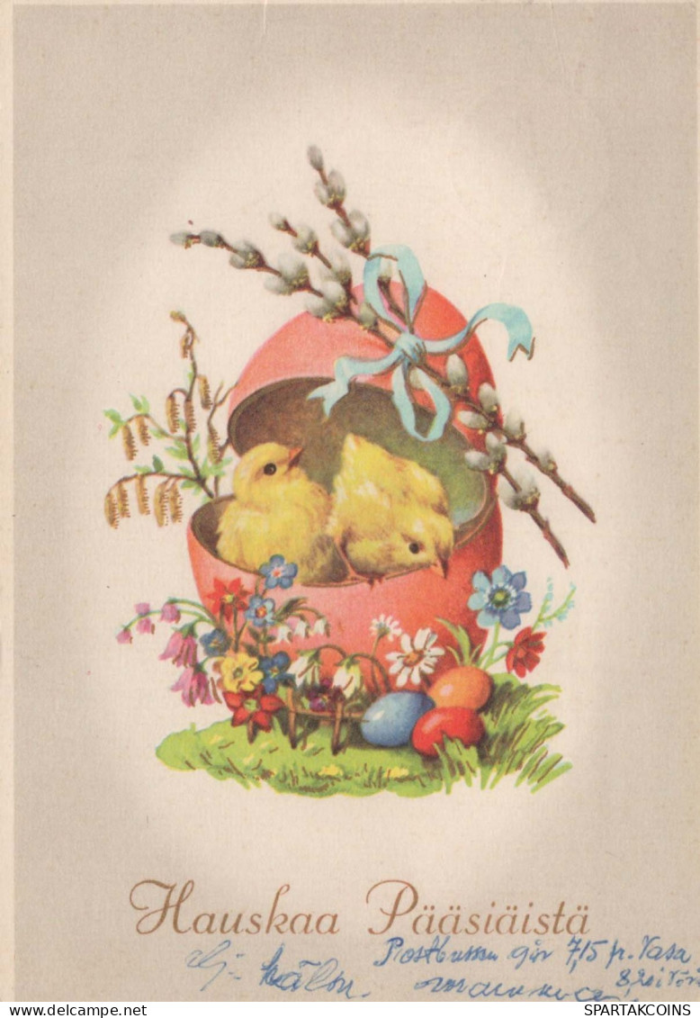 PASQUA POLLO UOVO Vintage Cartolina CPSM #PBO768.A - Ostern