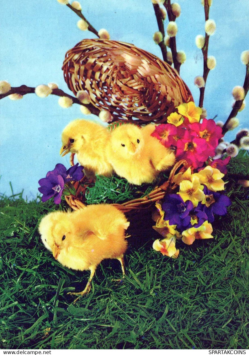 OSTERN HUHN EI Vintage Ansichtskarte Postkarte CPSM #PBO610.A - Ostern