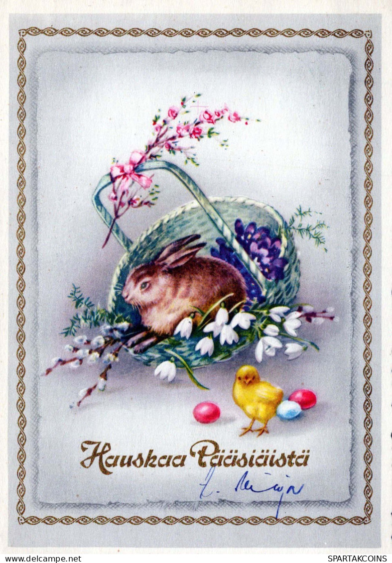 PASQUA CONIGLIO Vintage Cartolina CPSM #PBO413.A - Pâques