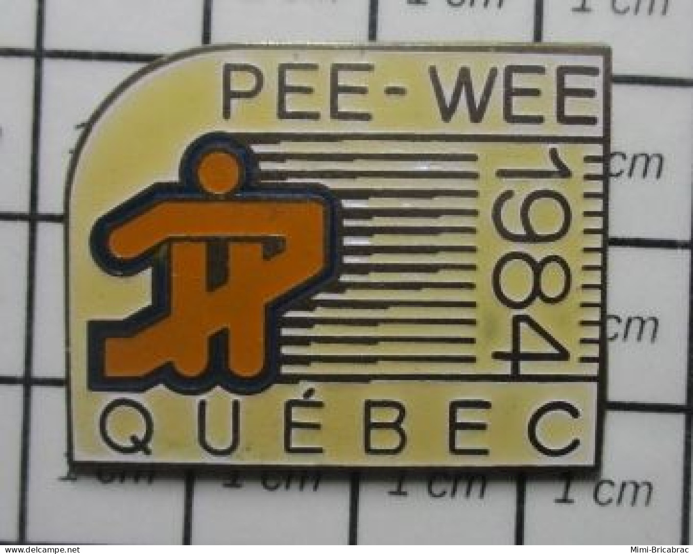 1818B Pin's Pins / Beau Et Rare / SPORTS / HOCKEY SUR GLACE TOURNOI PEE-WEE 1984 QUEBEC - Winter Sports