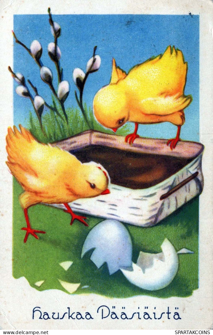 PASQUA POLLO UOVO Vintage Cartolina CPA #PKE308.A - Easter