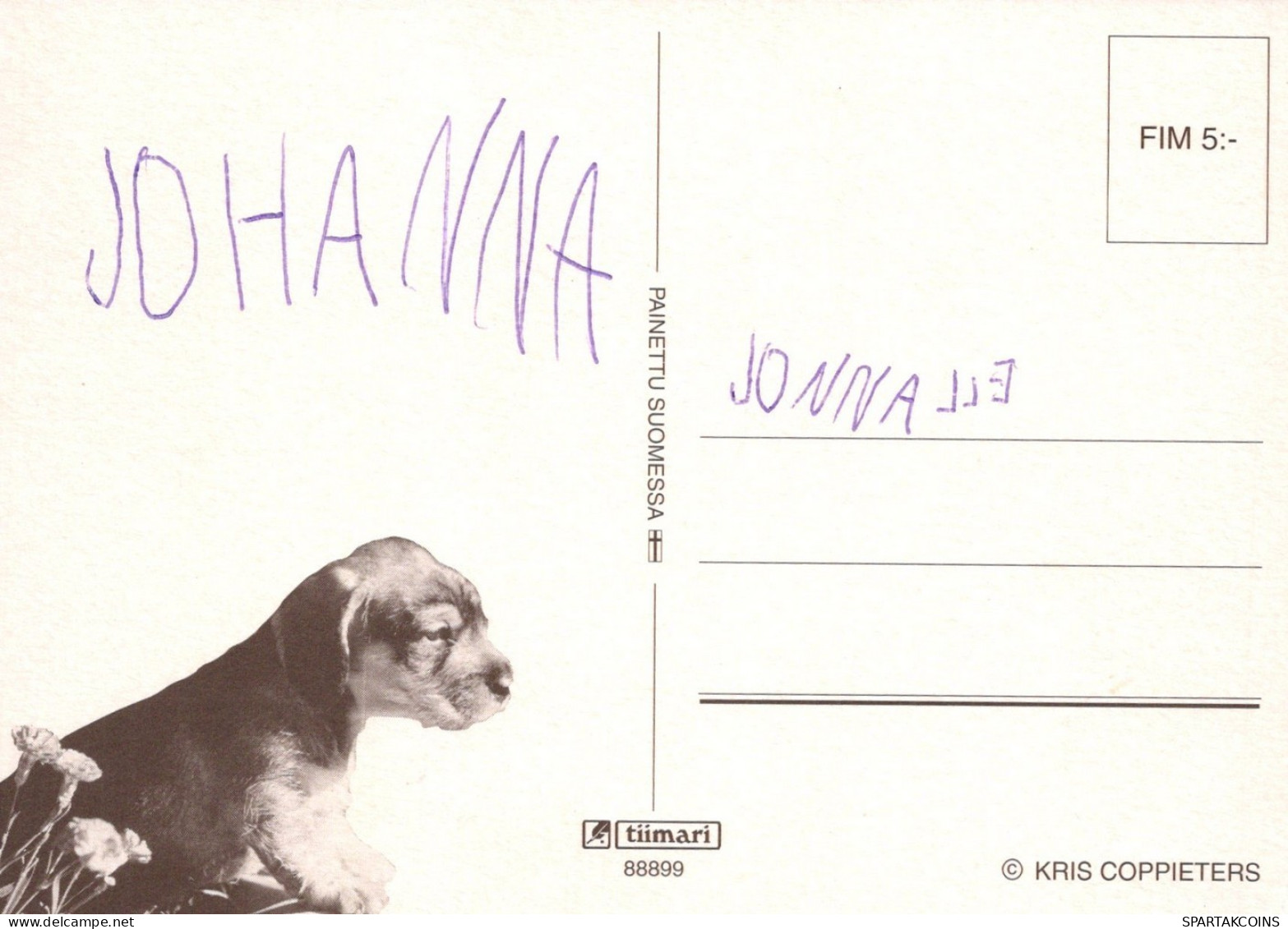 CHIEN Animaux Vintage Carte Postale CPSM #PAN780.A - Chiens