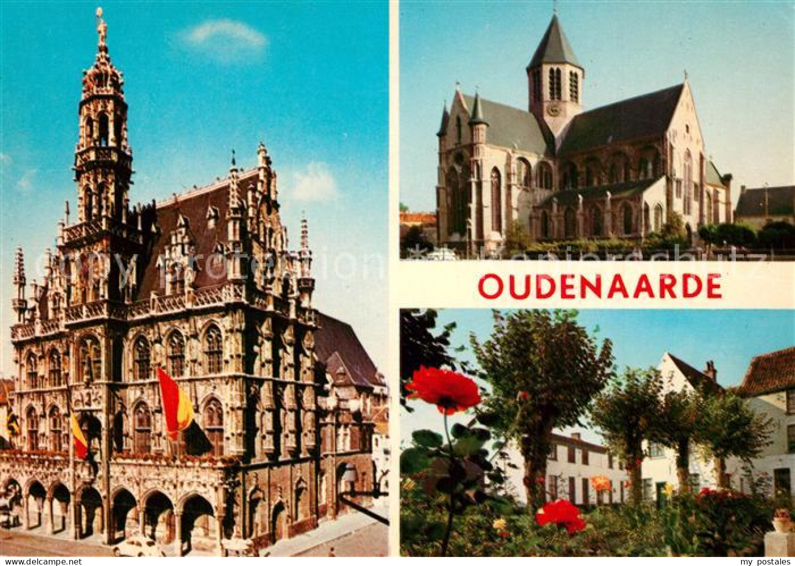 73234940 Oudenaarde Rathaus Kirche Garten Rosen Oudenaarde - Oudenaarde