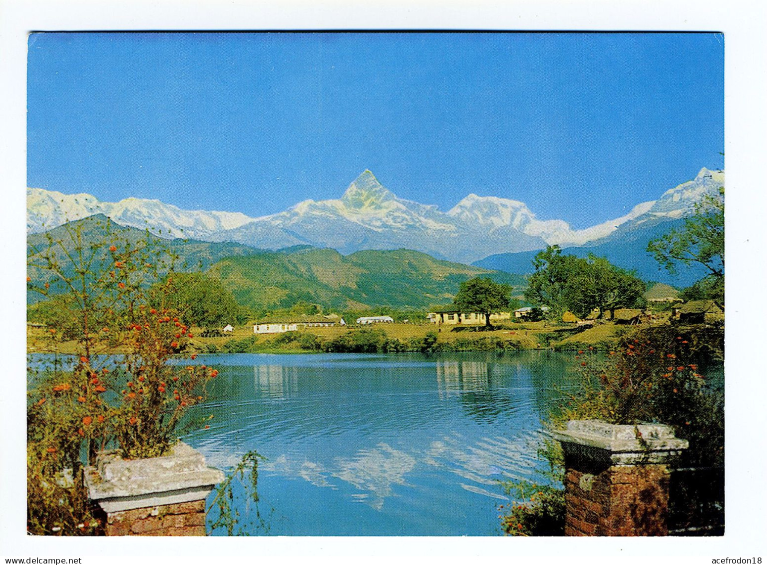 Montagne MACHAPUCHARE - Nepal