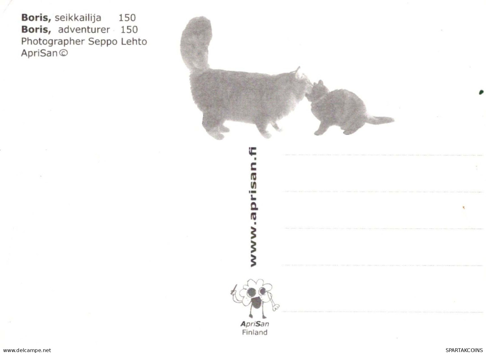 CAT KITTY Animals Vintage Postcard CPSM #PBQ798.A - Cats