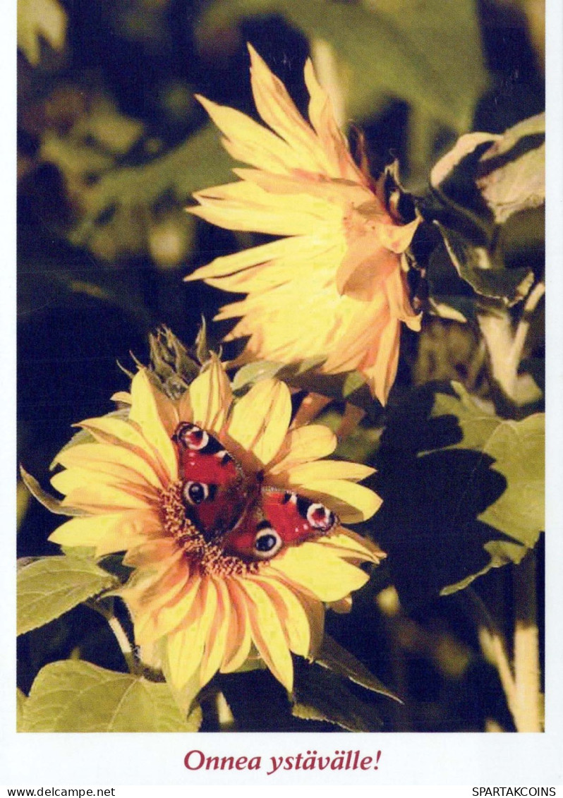 FARFALLA Animale Vintage Cartolina CPSM #PBS447.A - Farfalle