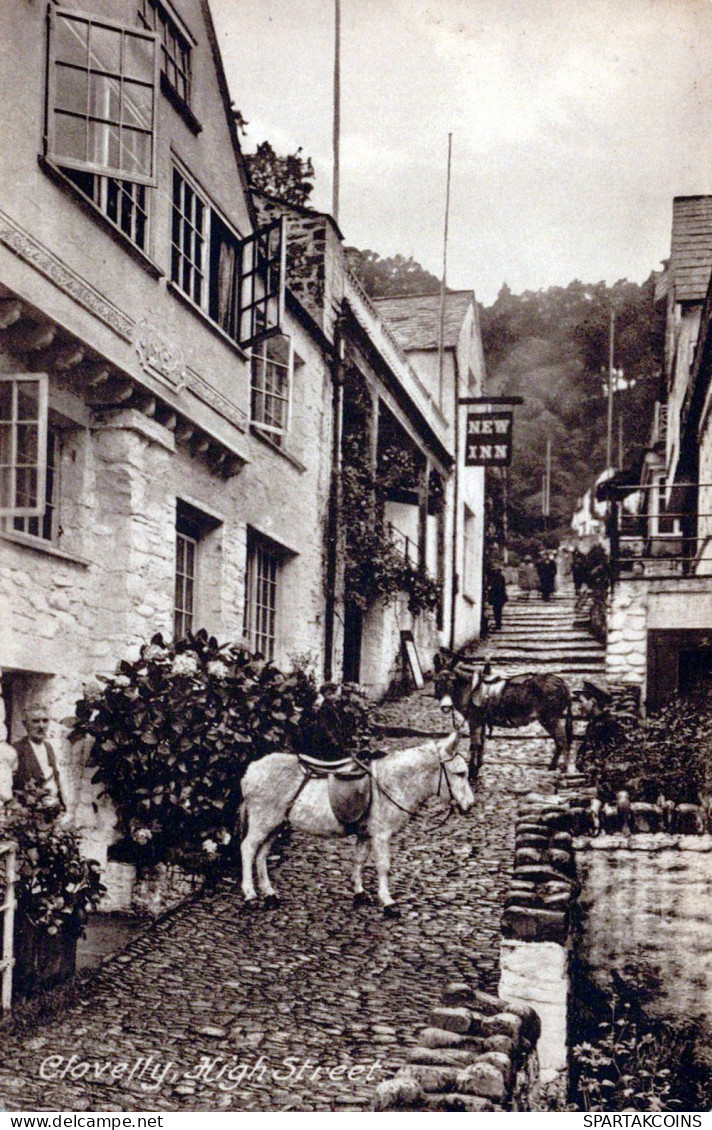 ÂNE Animaux Vintage Antique CPA Carte Postale #PAA276.A - Burros