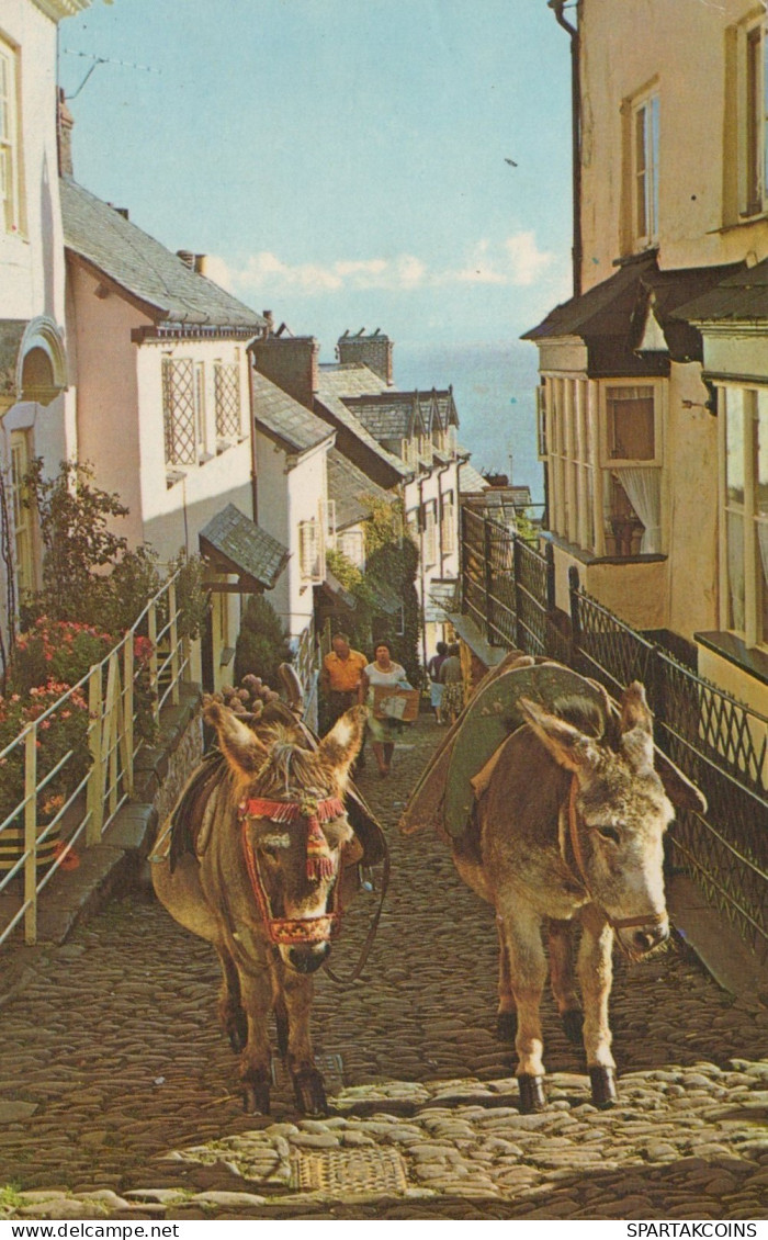 BURRO Animales Vintage Antiguo CPA Tarjeta Postal #PAA257.A - Donkeys