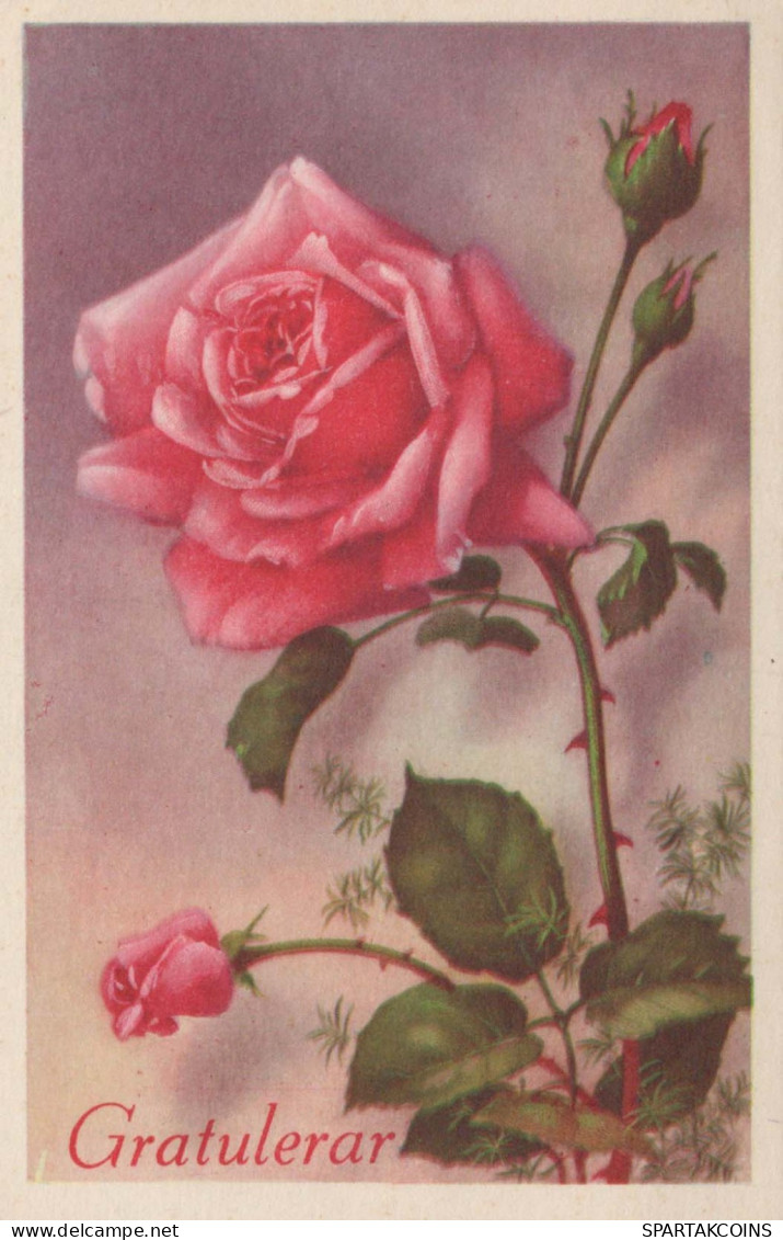 FLOWERS Vintage Ansichtskarte Postkarte CPA #PKE655.A - Flores