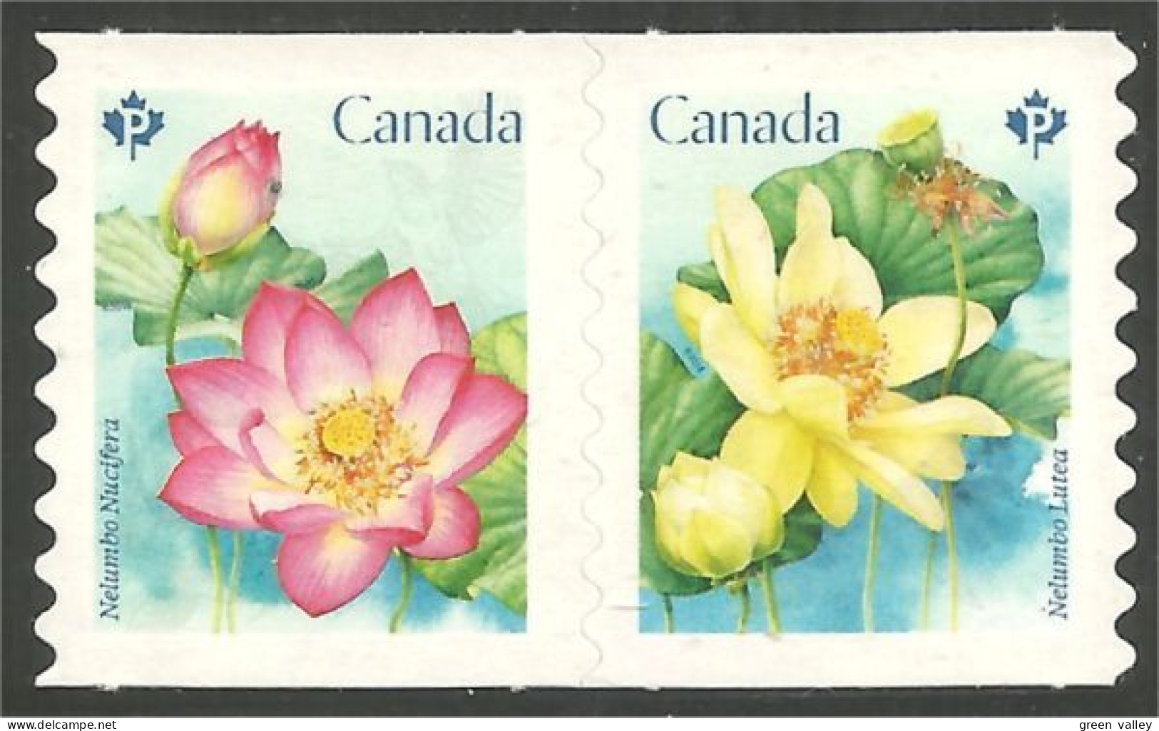 Canada Lotus Die Cut Annual Collection Annuelle MNH ** Neuf SC (C30-89ib) - Sonstige & Ohne Zuordnung