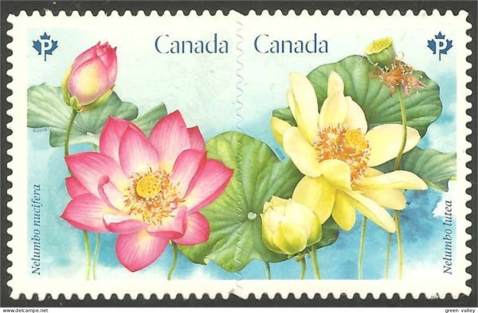 Canada Lotus Die Cut Annual Collection Annuelle MNH ** Neuf SC (C30-91ia) - Ongebruikt