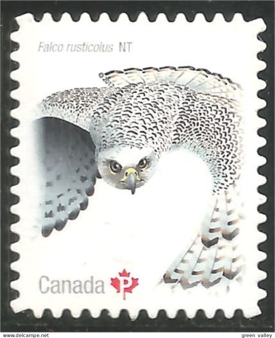 Canada Gyrfalcon Faucon Hibou Chouette Owl Eule Gufo Uil Buho Annual Collection Annuelle MNH ** Neuf SC (C30-19ib) - Eagles & Birds Of Prey