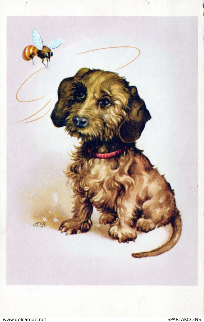 HUND Tier Vintage Ansichtskarte Postkarte CPA #PKE779.DE - Chiens