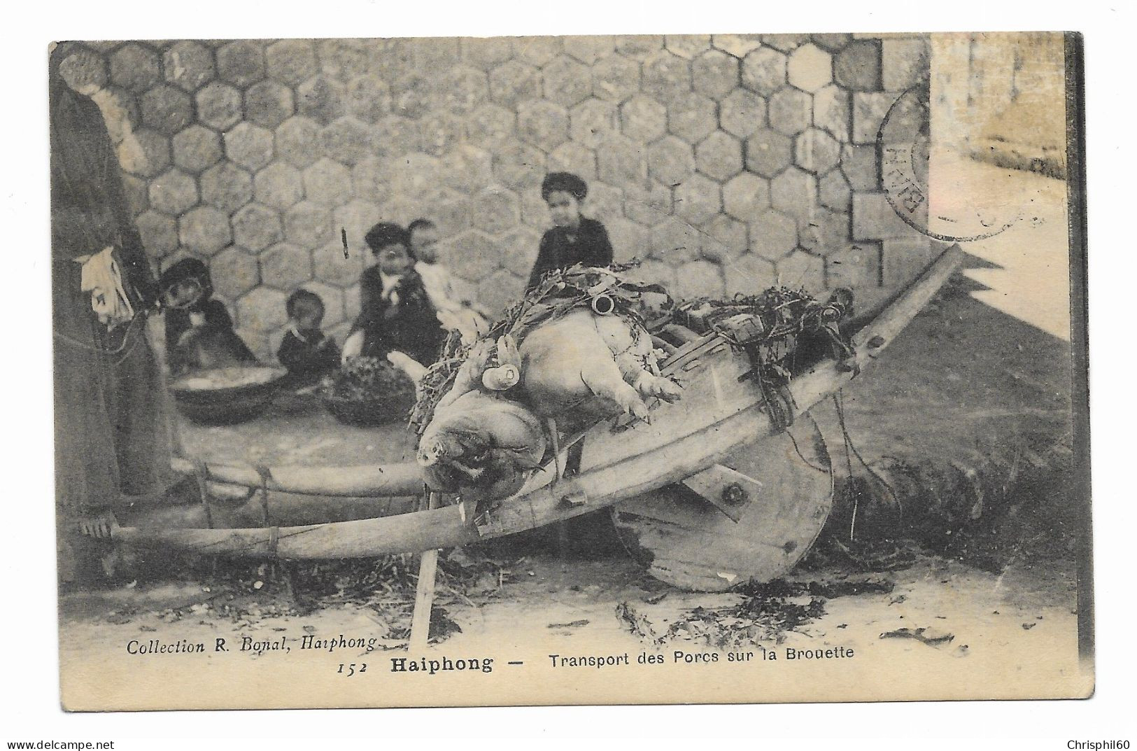 CPA RARE écrite En 1910 - Haiphong - Transport Des Porcs Sur La Brouette - Collection R. Bonal - Vietnam