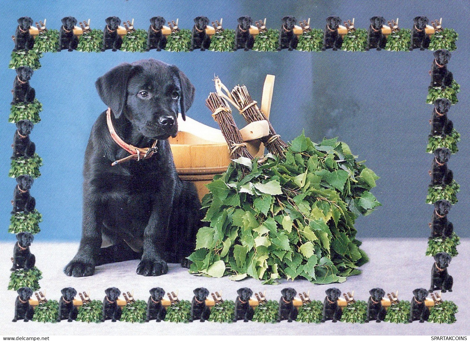 HUND Tier Vintage Ansichtskarte Postkarte CPSM #PAN723.DE - Chiens