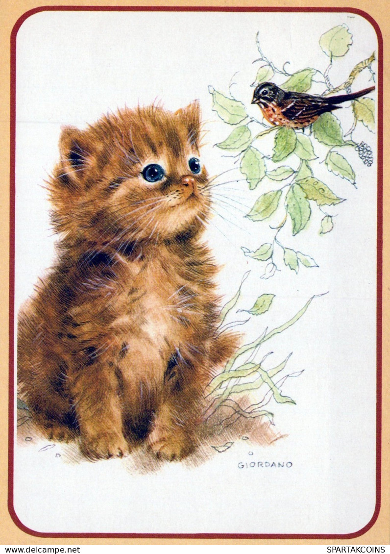 KATZE MIEZEKATZE Tier Vintage Ansichtskarte Postkarte CPSM #PAM586.DE - Katzen