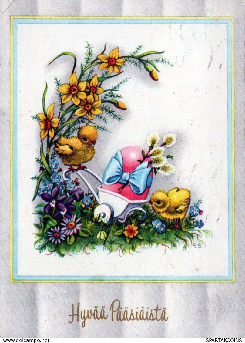 PASCUA POLLO HUEVO Vintage Tarjeta Postal CPSM #PBO703.ES - Pâques