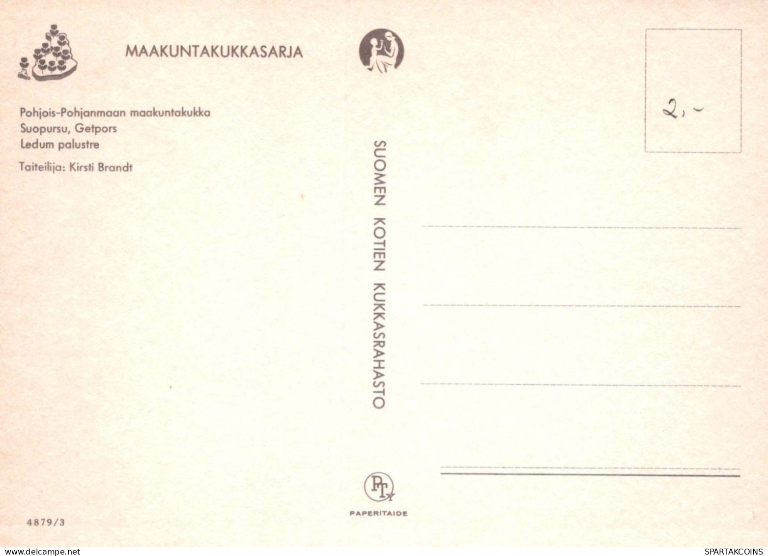 FLORES Vintage Tarjeta Postal CPSM #PAR528.ES - Fiori