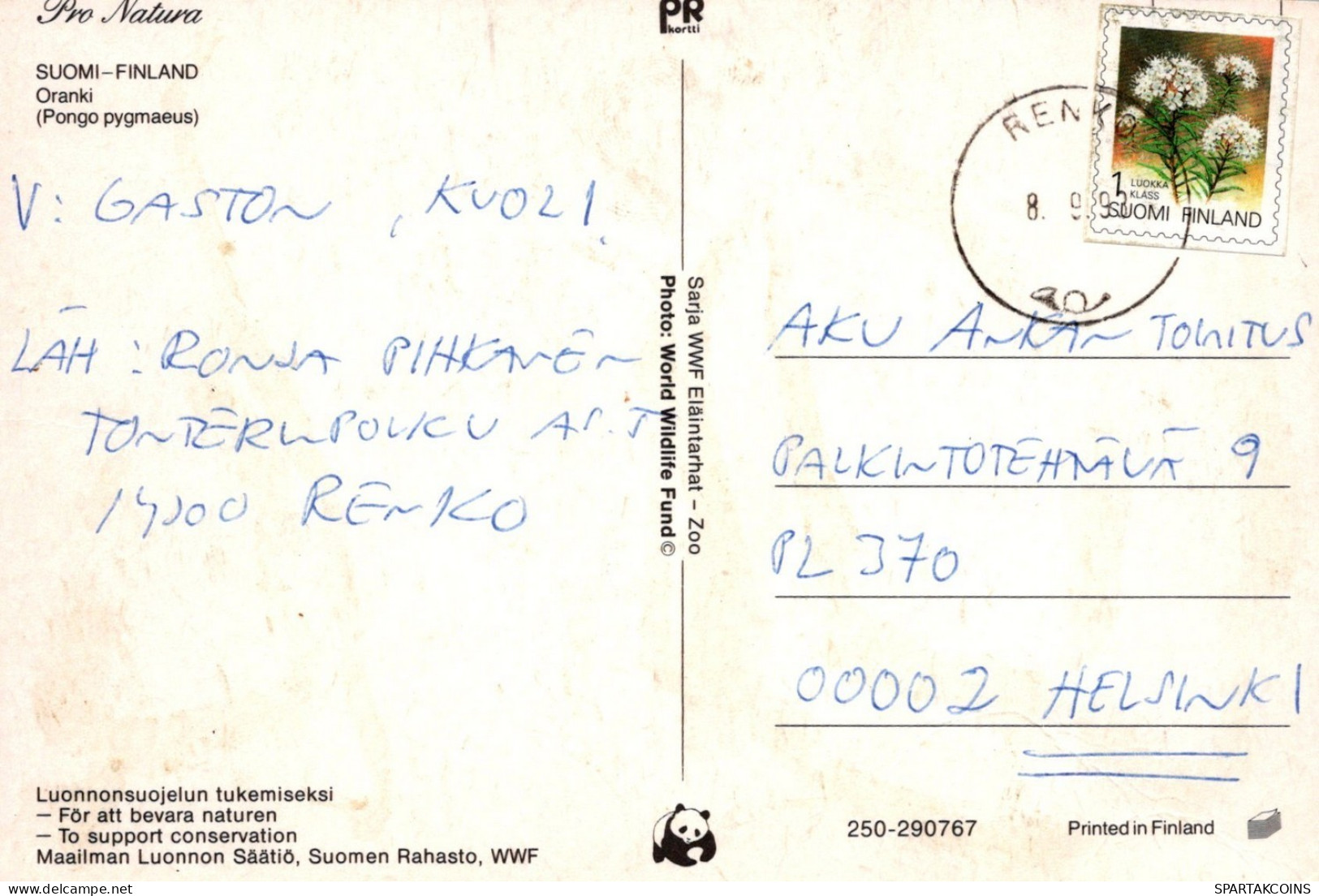 MONO Animales Vintage Tarjeta Postal CPSM #PAN985.ES - Singes