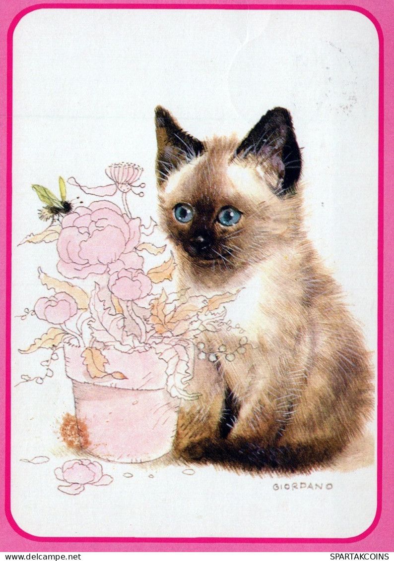 GATO GATITO Animales Vintage Tarjeta Postal CPSM #PAM584.ES - Katzen