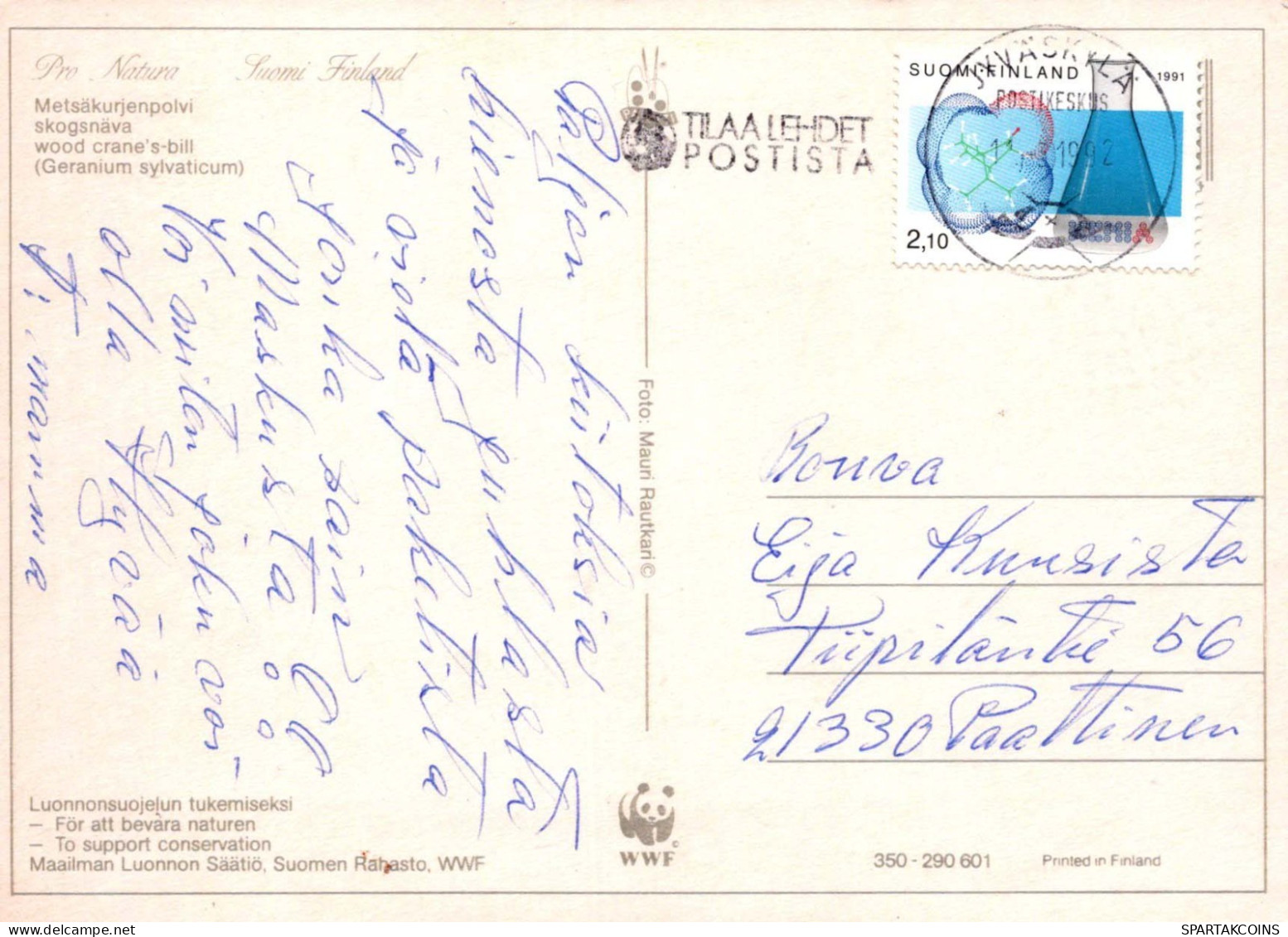 FLEURS Vintage Carte Postale CPSM #PAR529.FR - Flores