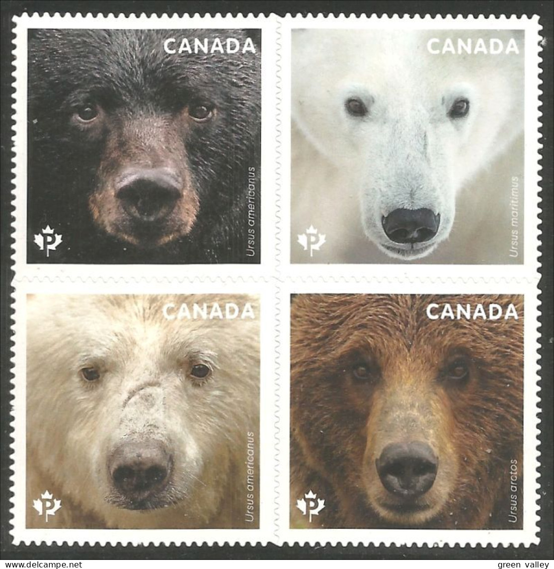 Canada Ours Bear Bar Orso Soportar Annual Collection Annuelle MNH ** Neuf SC (C31-91-94i) - Bären