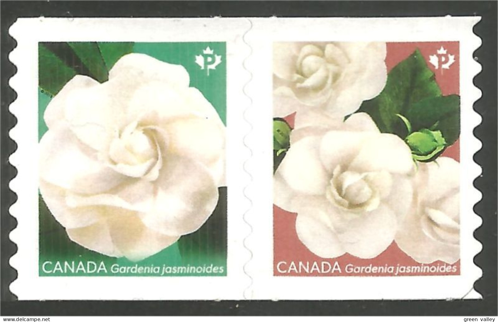 Canada Gardenia Fleurs Flowers Blume Annual Collection Annuelle MNH ** Neuf SC (C31-68iii) - Unused Stamps