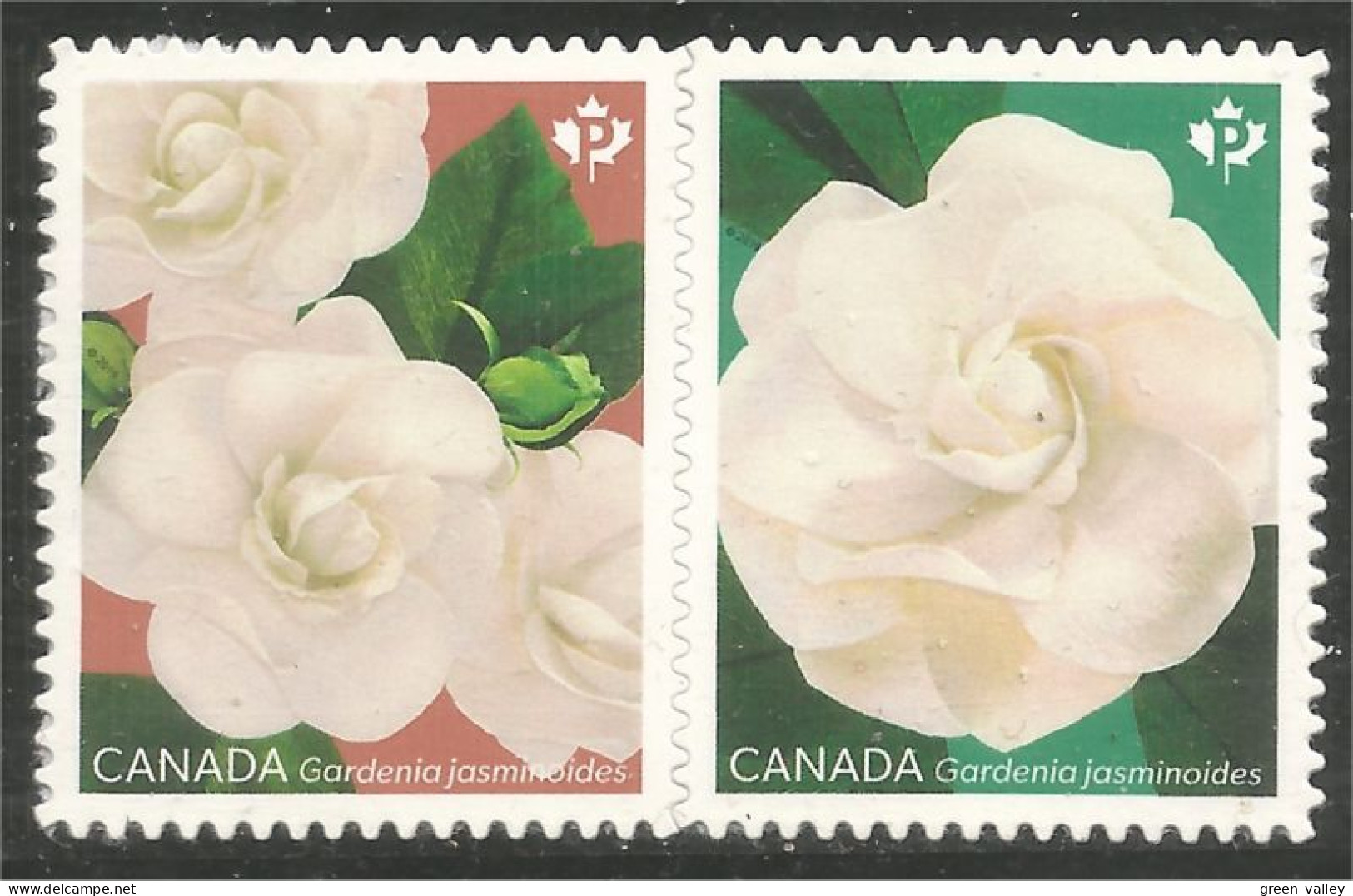 Canada Fleurs Gardenia Flowers Blumen Annual Collection Annuelle MNH ** Neuf SC (C31-70i) - Unused Stamps