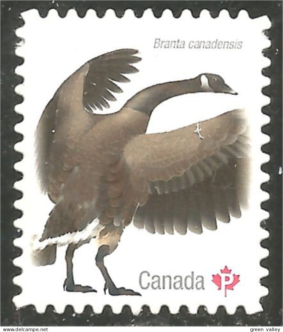 Canada Oie Goose Geese Gans Oca Ganso Annual Collection Annuelle MNH ** Neuf SC (C31-17db) - Oche